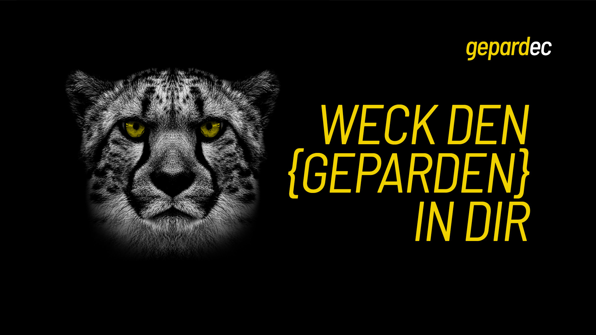CREA_NEO_Referenzen_Gepardec_12204