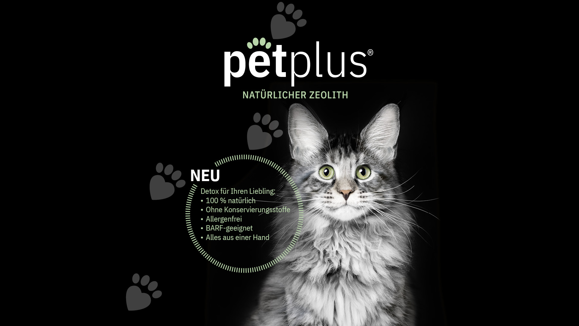 CREA_NEO_Referenzen_PetPlus_12202