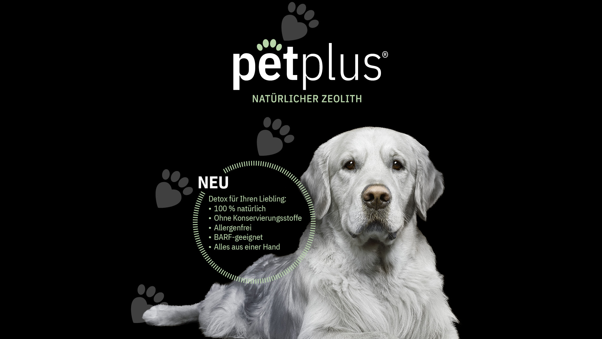 CREA_NEO_Referenzen_PetPlus_12203