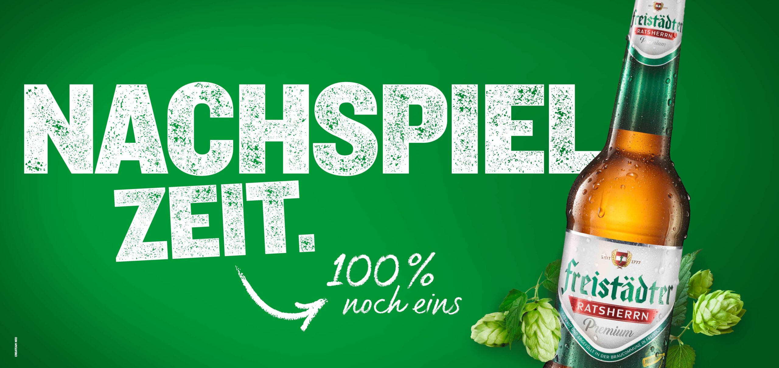 6-1_FREI_EM_Kamp24_EM_Plakate_24bg