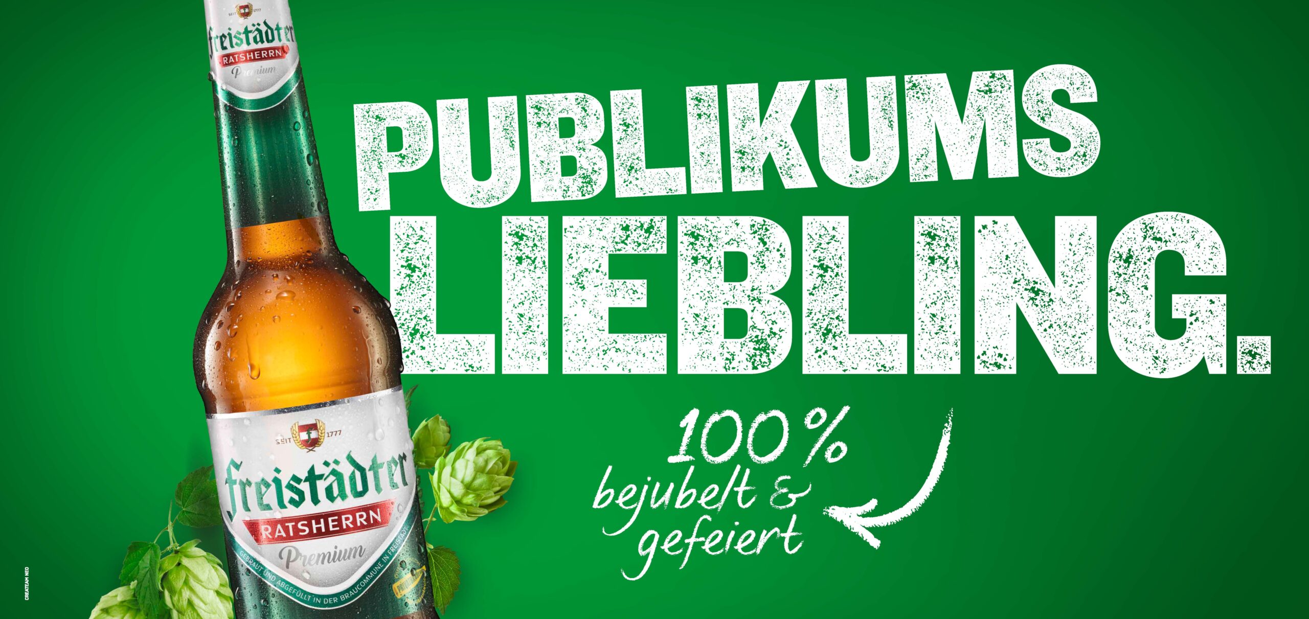 6-2_FREI_EM_Kamp24_EM_Plakate_24bg