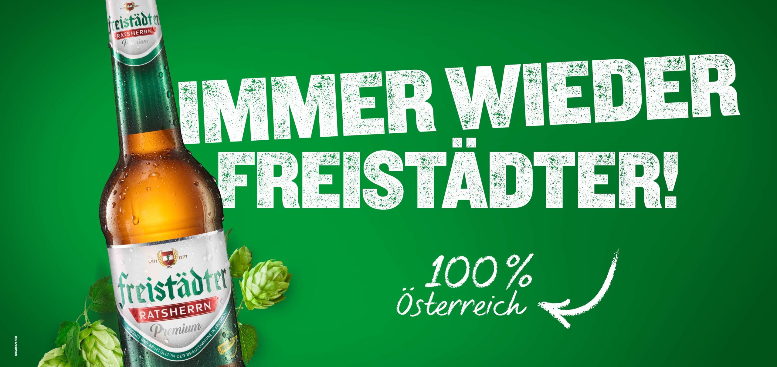 6-4_FREI_EM_Kamp24_EM_Plakate_24bg